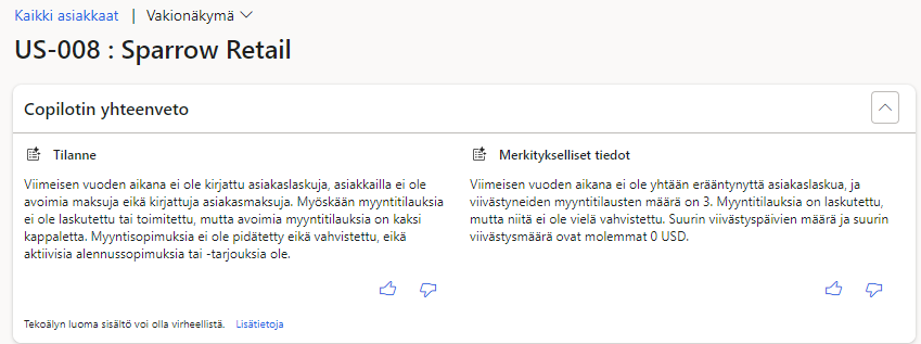 Copilot Finance - Asiakassivun yhteenveto